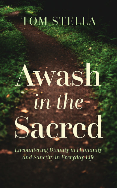 Awash in the Sacred: Encountering Divinity in Humanity and Sanctity in Everyday Life by Stella, Tom