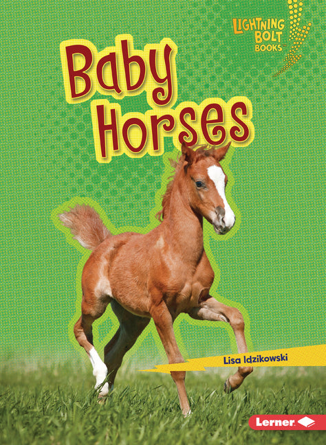 Baby Horses by Idzikowski, Lisa