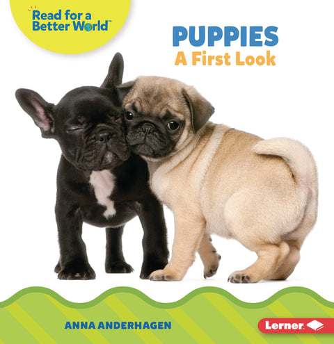 Puppies: A First Look by Anderhagen, Anna