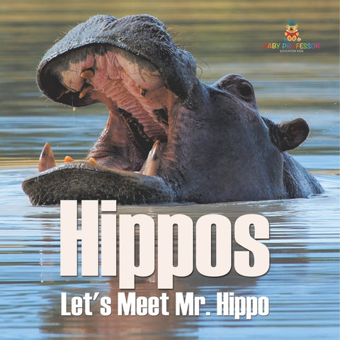 Hippos - Let's Meet Mr. Hippo