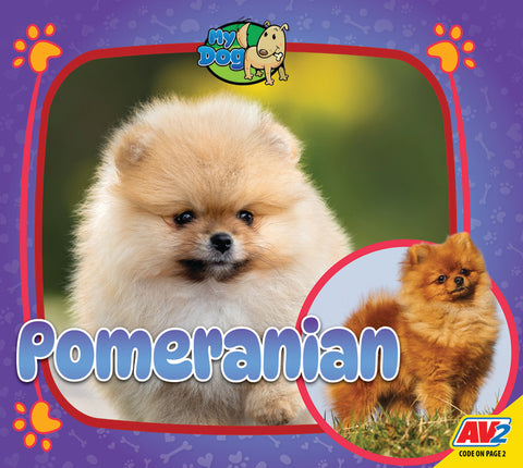 Pomeranian