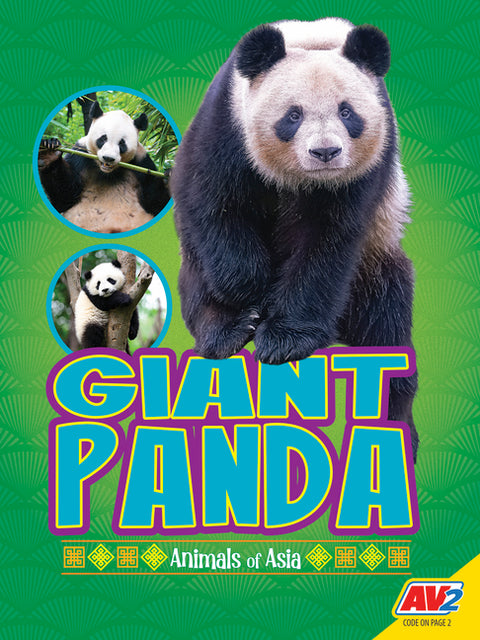 Giant Panda