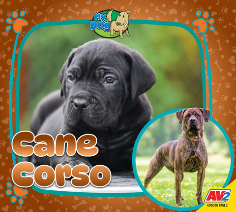 Cane Corso