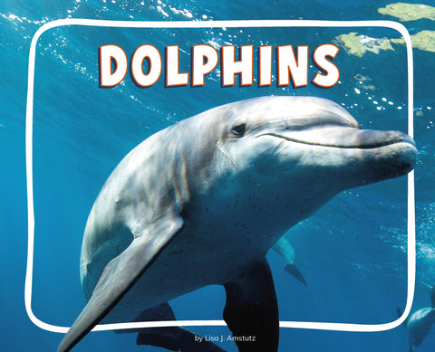 Dolphins