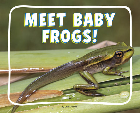 Meet Baby Frogs!