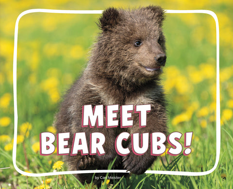 Meet Bear Cubs!