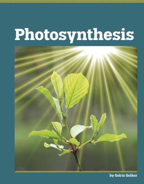 Photosynthesis