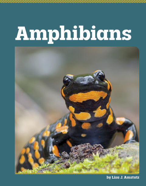 Amphibians