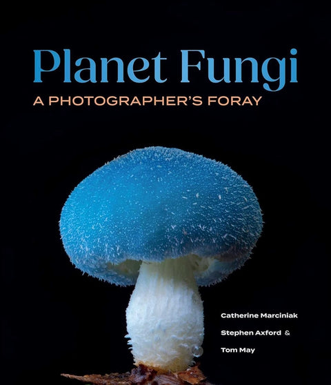 Planet Fungi: A Photographer's Foray
