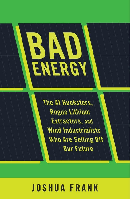 Bad Energy: The AI Hucksters, Rogue Lithium Extractors, and Wind Industrialists Who Are Selling Off Our Future