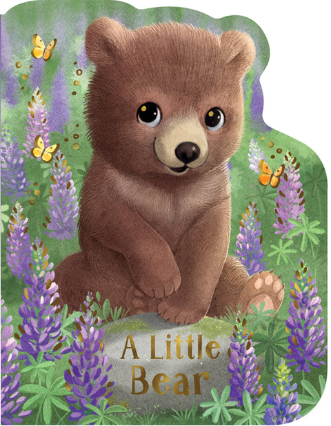 A Little Bear