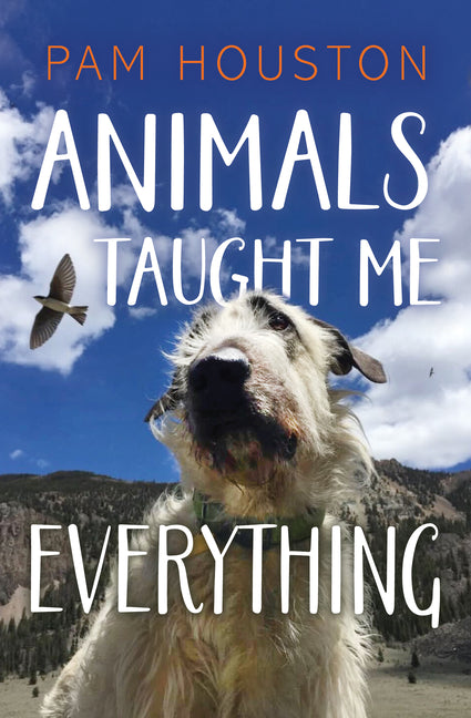 Animals Taught Me Everything by Houston, Pam