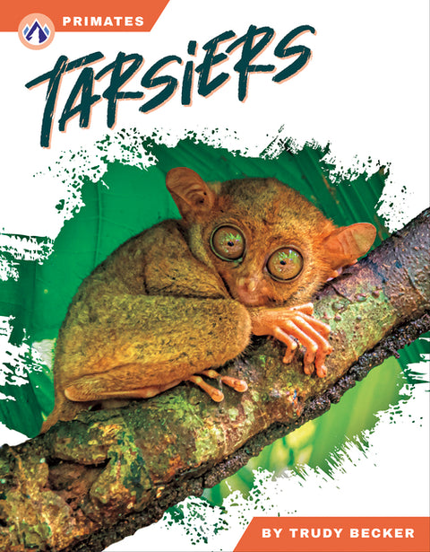 Tarsiers