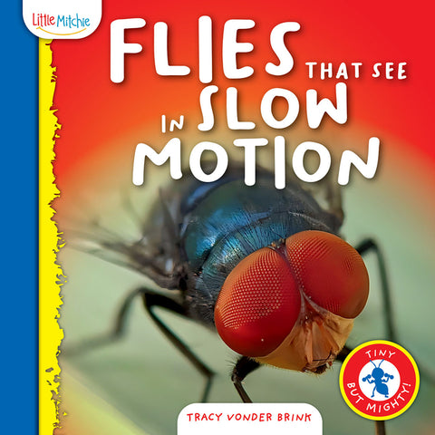 Flies That See in Slow Motion