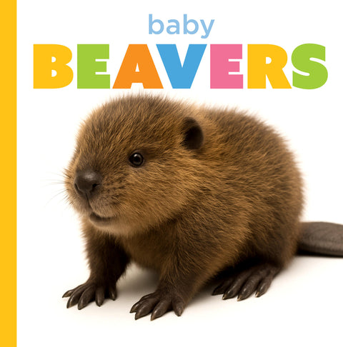 Baby Beavers by Morgan, Graham