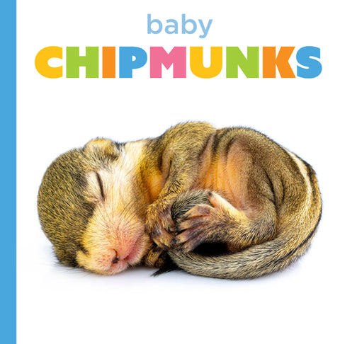 Baby Chipmunks by Morgan, Graham