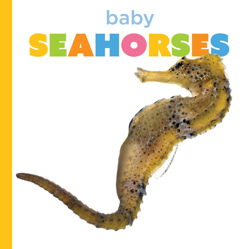 Baby Seahorses by Morgan, Graham