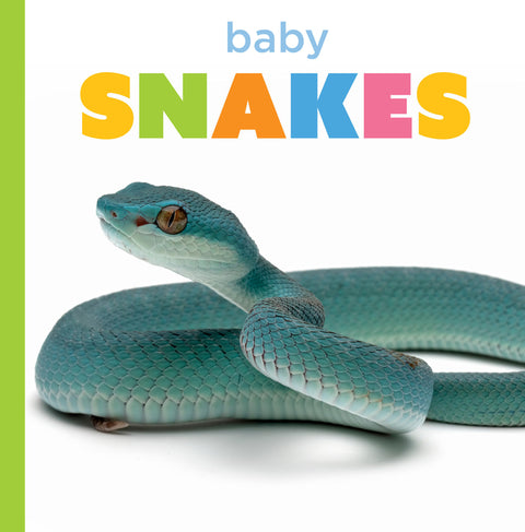 Baby Snakes by Morgan, Graham