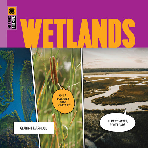 Wetlands