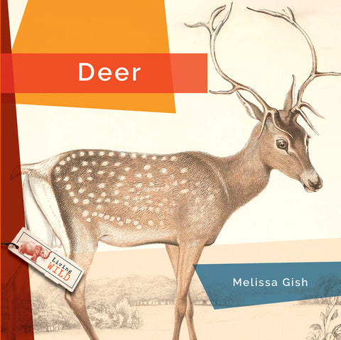 Deer by Gish, Melissa