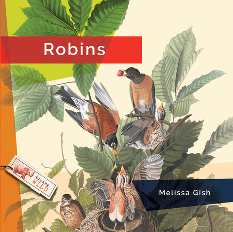 Robins by Gish, Melissa
