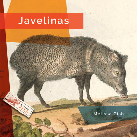 Javelinas by Gish, Melissa