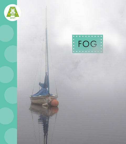 Fog
