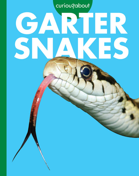 Curious about Garter Snakes by Grack, Rachel