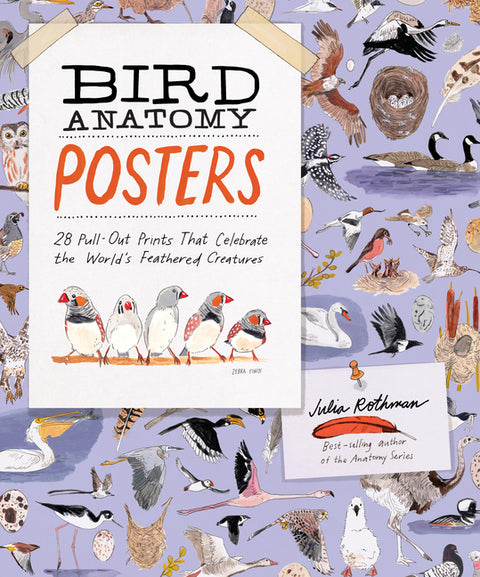 Bird Anatomy Posters: 28 Pull-Out Prints That Celebrate the World's Feathered Creatures by Rothman, Julia