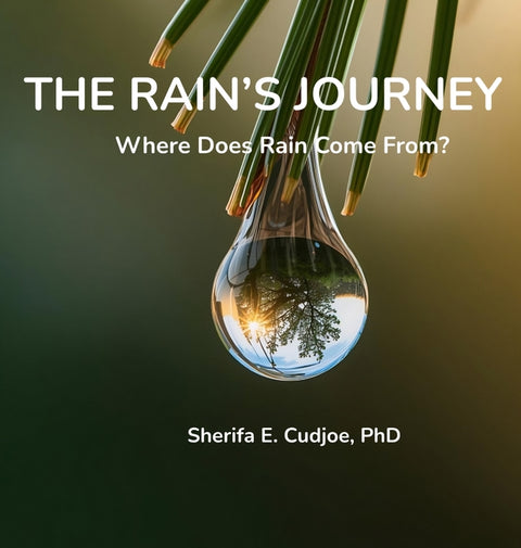The Rain's Journey: Where Does Rain Come From?
