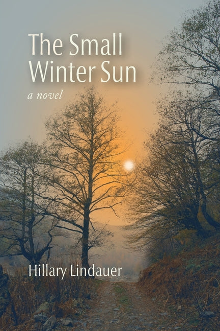 The Small Winter Sun by Lindauer, Hillary
