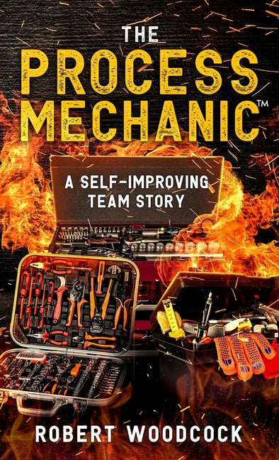 The Process Mechanic(TM): A Self-improving Team Story