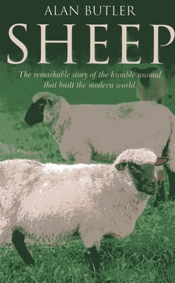 Sheep by Butler, Alan