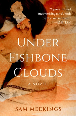 Under Fishbone Clouds by Meekings, Sam