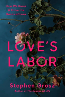 Love's Labor: How We Break and Make the Bonds of Love by Grosz, Stephen