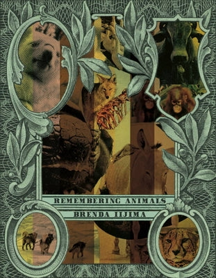 Remembering Animals by Iijima, Brenda