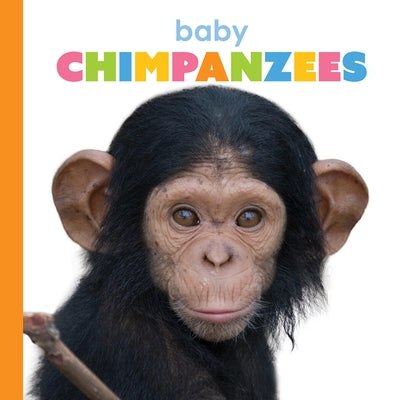 Baby Chimpanzees by Greve, Meg