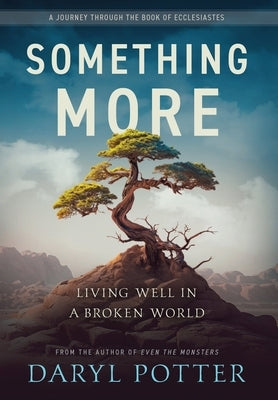 Something More: Living Well in a Broken World by Potter, Daryl