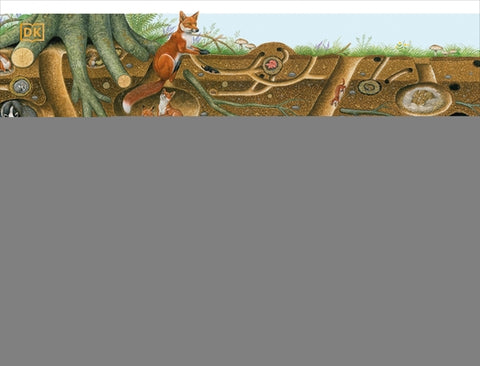 Life Underground: Tunnel Into a World of Wildlife by DK