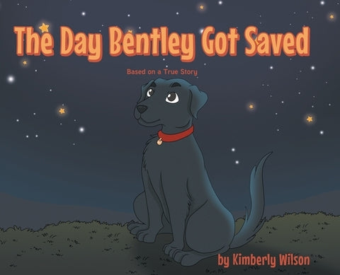 The Day Bentley Got Saved by Wilson, Kimberly