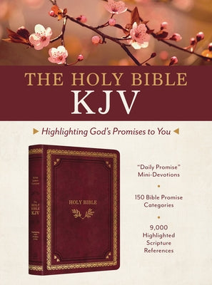 The Holy Bible Kjv: Highlighting God's Promises to You [Crimson & Gold] by Hudson, Christopher D.