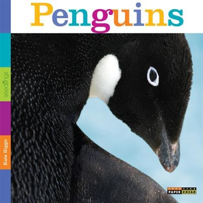 Seedlings: Penguins by Riggs, Kate
