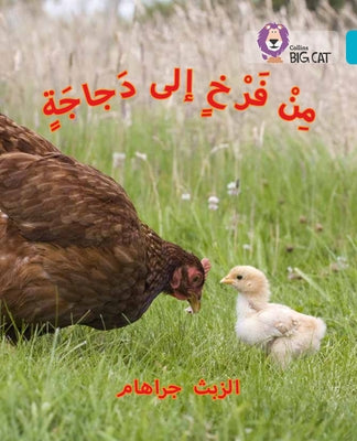 Chick to Hen: (Level 7) by Collins Uk