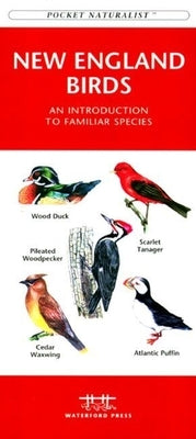 New England Wildlife: A Folding Pocket Guide to Familiar Animals by Kavanagh, James