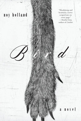 Bird by Holland, Noy