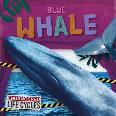 Blue Whale by Andrews, E. C.