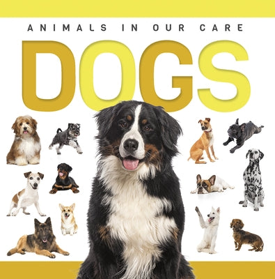 Dogs by Nodes, Eliza