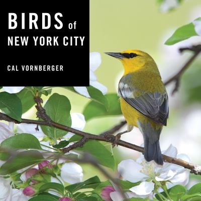 Birds of New York City by Vornberger, Cal