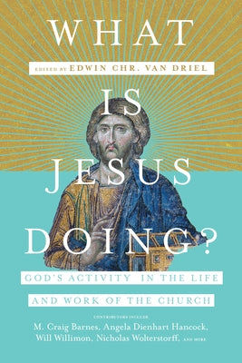 What Is Jesus Doing? by Van Driel, Edwin Chr