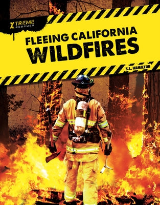 Fleeing California Wildfires by Hamilton, Sue L.